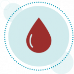 electra-vega-drop electra-vega-drop